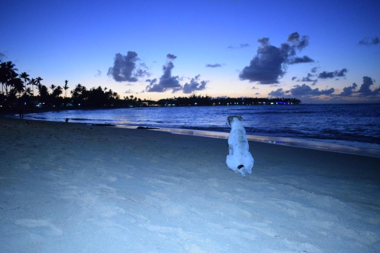 La Dolce Vita Beachfront Hotels, Las Terrenas, Samana Esterno foto
